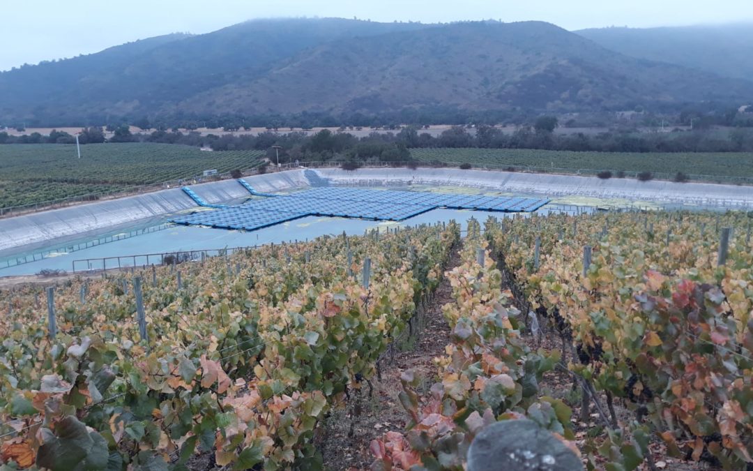 Bodega – Bombeo de autoconsumo (PPA) – Gran bodega – Leyda (Chile)