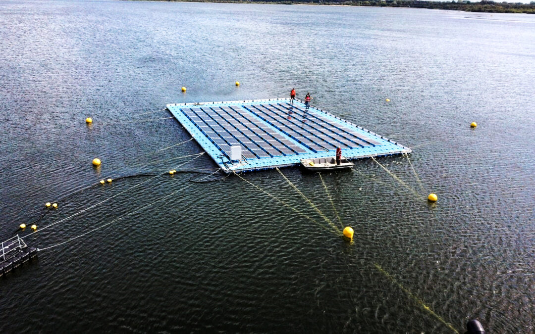 Nuevos retos – Proyecto de I+D – Lago Oostvoornse (Países Bajos)