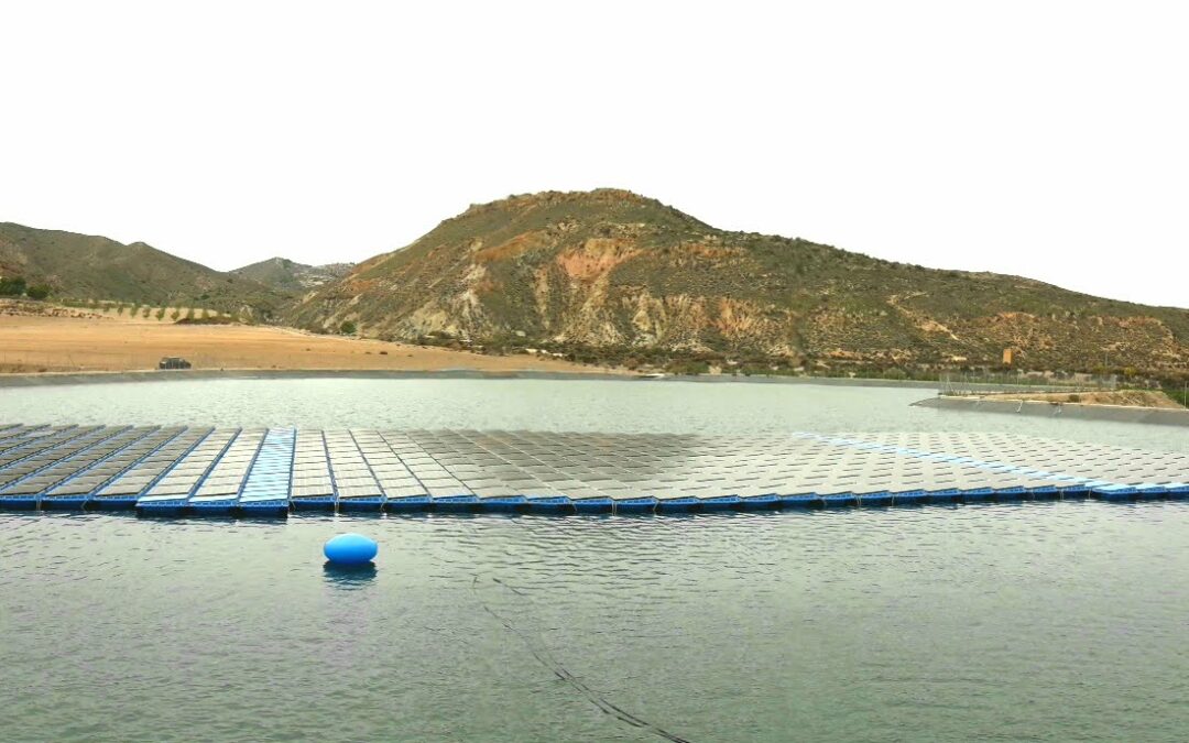 Agriculture – Direct solar pumping – C.R. Puerto Lumbreras (Spain)
